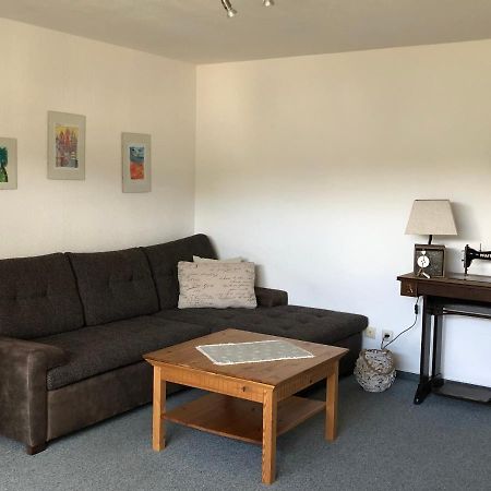 Appartement Am Duerrenbachtal à Klingenthal Extérieur photo