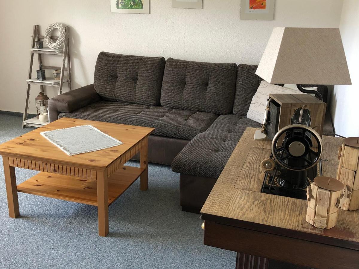 Appartement Am Duerrenbachtal à Klingenthal Extérieur photo