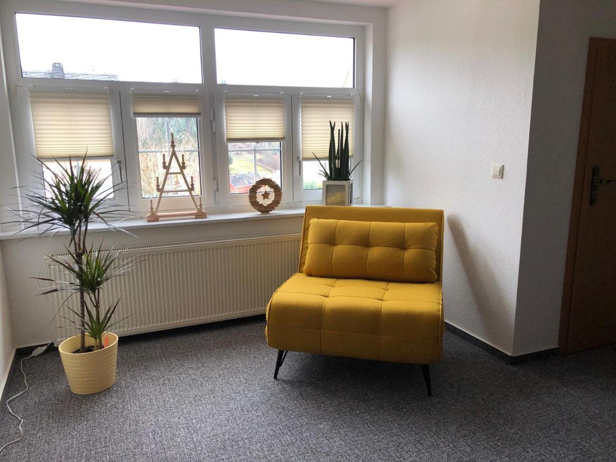 Appartement Am Duerrenbachtal à Klingenthal Extérieur photo