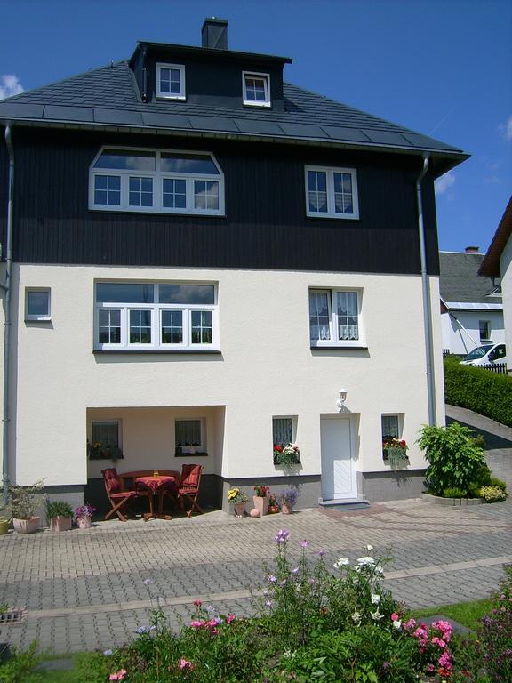 Appartement Am Duerrenbachtal à Klingenthal Extérieur photo